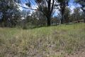 Property photo of 30-40 Old Bluff Road Cedar Vale QLD 4285