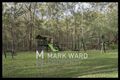 Property photo of 27 Arkindale Street Nathan QLD 4111
