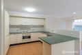 Property photo of 20 Sunflower Crescent Calamvale QLD 4116