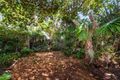 Property photo of 37 Dwyer Avenue Little Bay NSW 2036