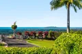 Property photo of 175 Coolamon Scenic Drive Coorabell NSW 2479
