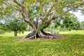 Property photo of 2/38 Riverwood Drive Ashmore QLD 4214