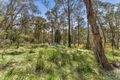 Property photo of 65 Springhill Road Denver VIC 3461