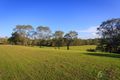 Property photo of 141 Airlie Road Pullenvale QLD 4069