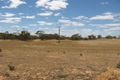 Property photo of 454 Schultz Road Kanni SA 5330