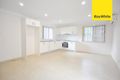 Property photo of 43 De Witt Street Bankstown NSW 2200