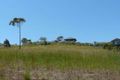 Property photo of 7 The Ridge Hallidays Point NSW 2430