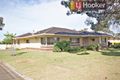 Property photo of 14 Shirley Avenue Parafield Gardens SA 5107