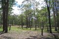 Property photo of 111 Boomerang Road Tamborine QLD 4270