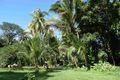 Property photo of 90 Rykers Road Cape Tribulation QLD 4873