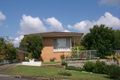 Property photo of 33 Rees Avenue Coorparoo QLD 4151