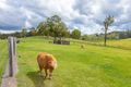 Property photo of 236 Newman Lane Delaneys Creek QLD 4514