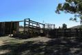 Property photo of 282 Triamble Road Hargraves NSW 2850