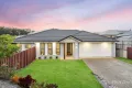 Property photo of 72 Logging Crescent Spring Mountain QLD 4300