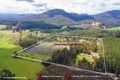 Property photo of 2 Mackenzie Valley Road Cuckoo TAS 7260