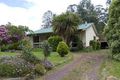 Property photo of 10 Ronald Grove Millgrove VIC 3799