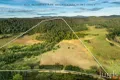 Property photo of 115 Murrays Run Road Murrays Run NSW 2325