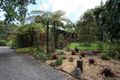Property photo of 5 Meadow Road Julatten QLD 4871