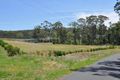 Property photo of 251 Newmans Road Woolgoolga NSW 2456