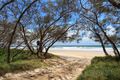 Property photo of 16 Swallowtail Street Noosa North Shore QLD 4565