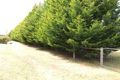 Property photo of 41 Ryan Junction Road Allendale VIC 3364