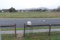 Property photo of 21 Cooper Street Barraba NSW 2347