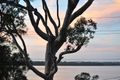 Property photo of 143 Scenic Drive Budgewoi NSW 2262
