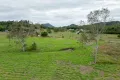 Property photo of 5 Holloway Drive Sugarloaf QLD 4800