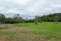 Property photo of 5 Holloway Drive Sugarloaf QLD 4800