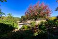Property photo of 22/43 Edinburgh Road Modbury SA 5092