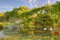 Property photo of 69 Roberts Road Carlotta WA 6275