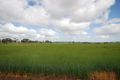 Property photo of 2336 Wagin-Dumbleyung Road Ballaying WA 6315