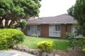 Property photo of 19 Fairhills Parade Glen Waverley VIC 3150