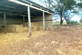 Property photo of 41 Altmann Street Moculta SA 5353