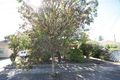 Property photo of 3 Bakara Street Park Holme SA 5043