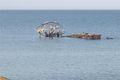 Property photo of 5 Annmaree Drive Indented Head VIC 3223