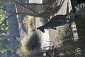 Property photo of 3 Fig Place Geilston Bay TAS 7015