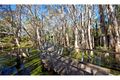 Property photo of 15 Balfour Place Thornlands QLD 4164