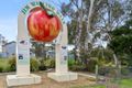 Property photo of 40 Railway Parade Tallong NSW 2579