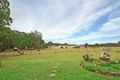 Property photo of 291 Gannet Road Nowra Hill NSW 2540