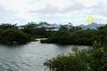 Property photo of 6/2 Creek Street Hastings Point NSW 2489