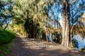 Property photo of 38 Forbes Street Emu Plains NSW 2750