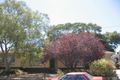 Property photo of 29 Waitara Road Banksia Park SA 5091