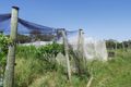 Property photo of 90 Glenoe Drive Lara VIC 3212