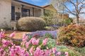 Property photo of 50 Balfour Crescent Wanniassa ACT 2903
