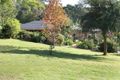 Property photo of 37 Jackson Way Dromana VIC 3936