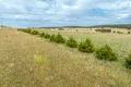 Property photo of 797 Peabody Road Molong NSW 2866