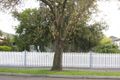 Property photo of 7 French Avenue Northcote VIC 3070