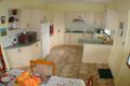Property photo of 60 Gahans Avenue Woonona NSW 2517