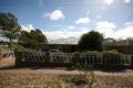 Property photo of 1 Manse Terrace St Marys SA 5042